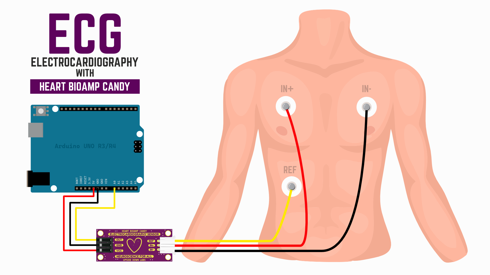 Menggunakan Heart BioAmp Candy untuk mengukur ECG dengan elektroda gel