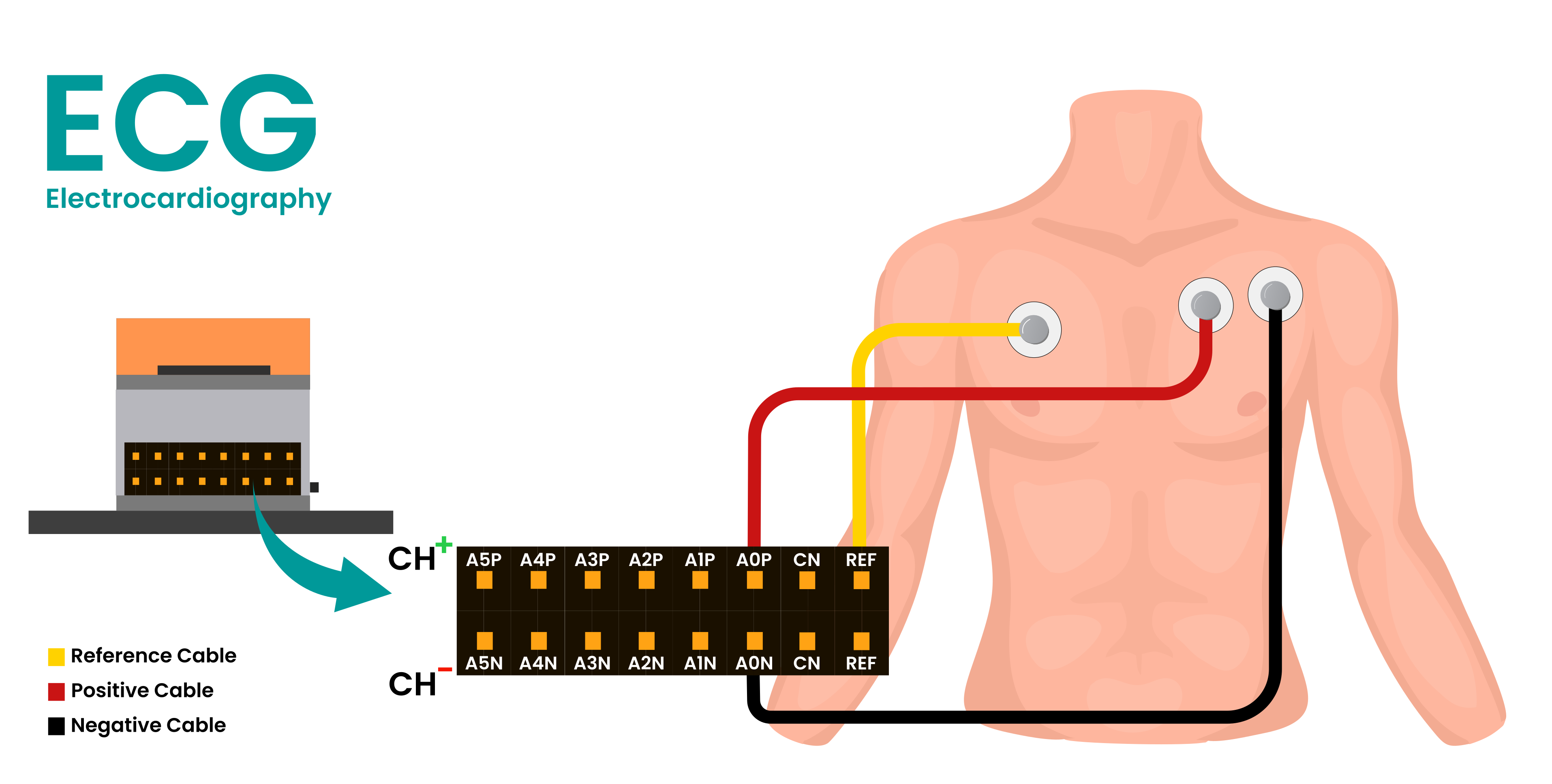 Connection for ECG