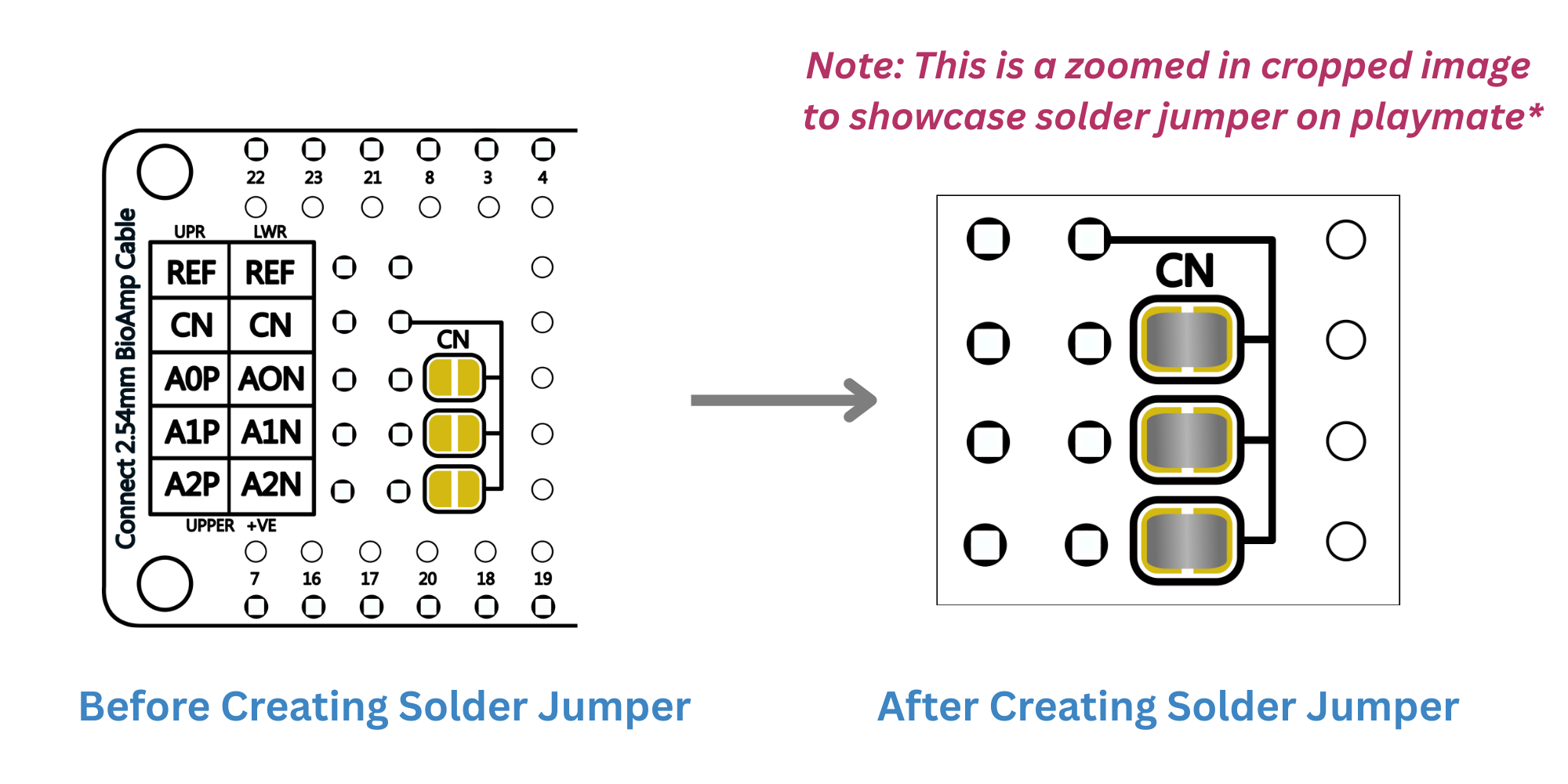 NPG Lite Proto Playmate Common Negative